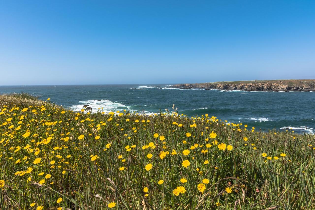 Studio 9 Glass Beach Fort Bragg Exterior foto